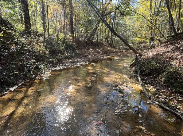 Henry Co Rd #46, Shorterville, AL 36373