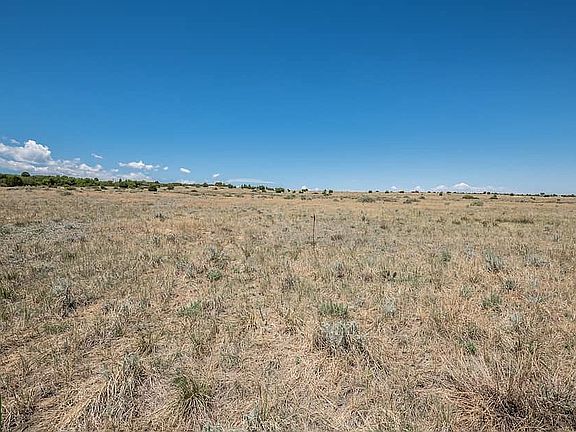 3rd image of LOT 168 Tarryall Dr