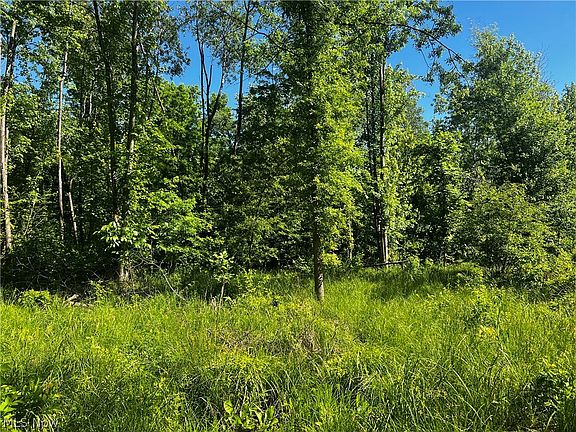 5th image of State Route 88 Rd