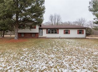 6199 Vandemark Rd, Medina, OH 44256