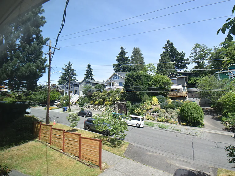 Living room window, looking east