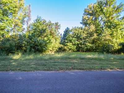 0 Dr Lewis Rd, Ripley, TN, 38063