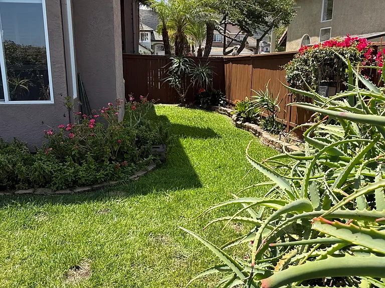 820 Wild Lilac Cir — Photo 11