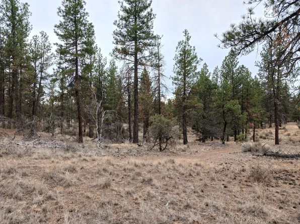 Moccasin Lane Lot 12 Block #50, Chiloquin, OR 97624