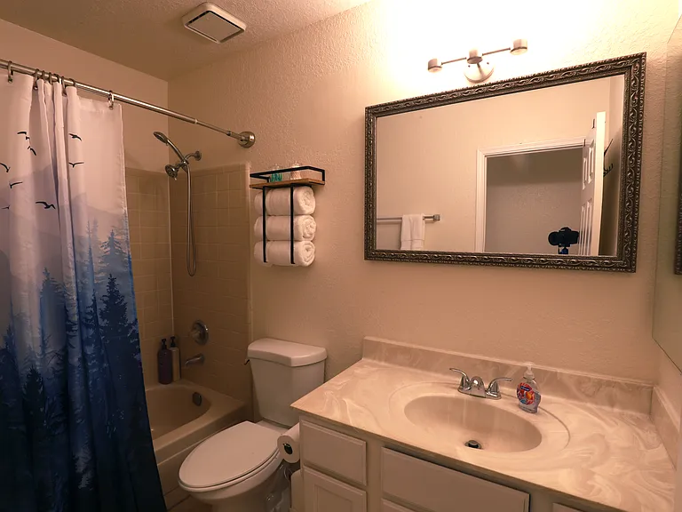 Upstairs Bathroom_1