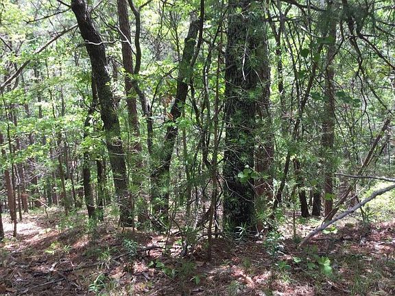 ON FOOT AT FRONT OF LOT