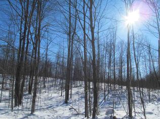 37.28 On State Hwy #52, Aniwa, WI 54408