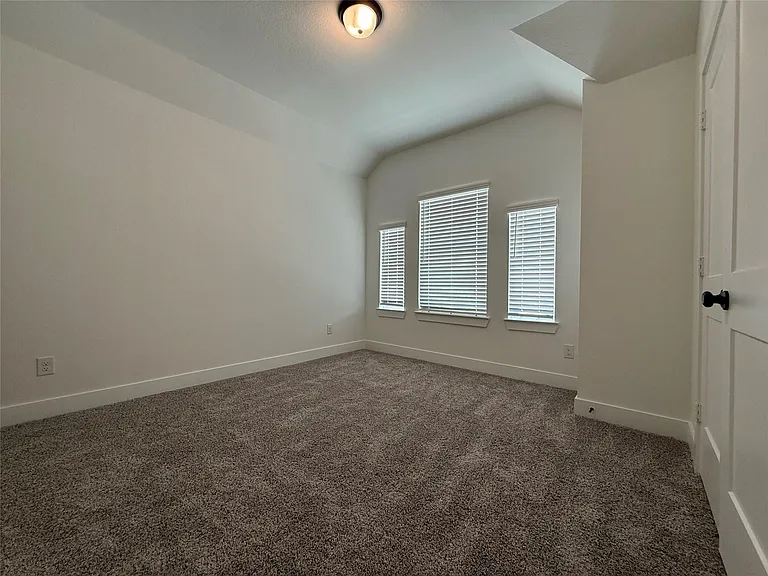 10508 Wild Rice — Photo 24