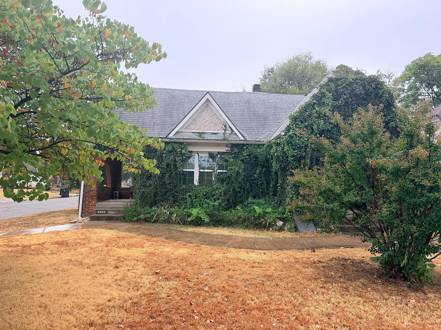 1 bed, 800 sqft, $950 — Photo 1