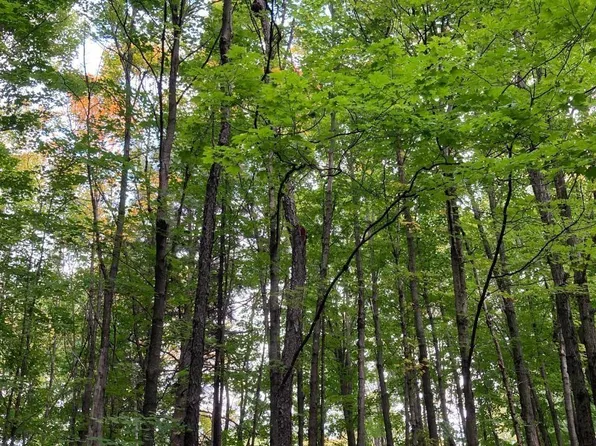 On Lost Rd Tract 4053, Tomahawk, WI 54487