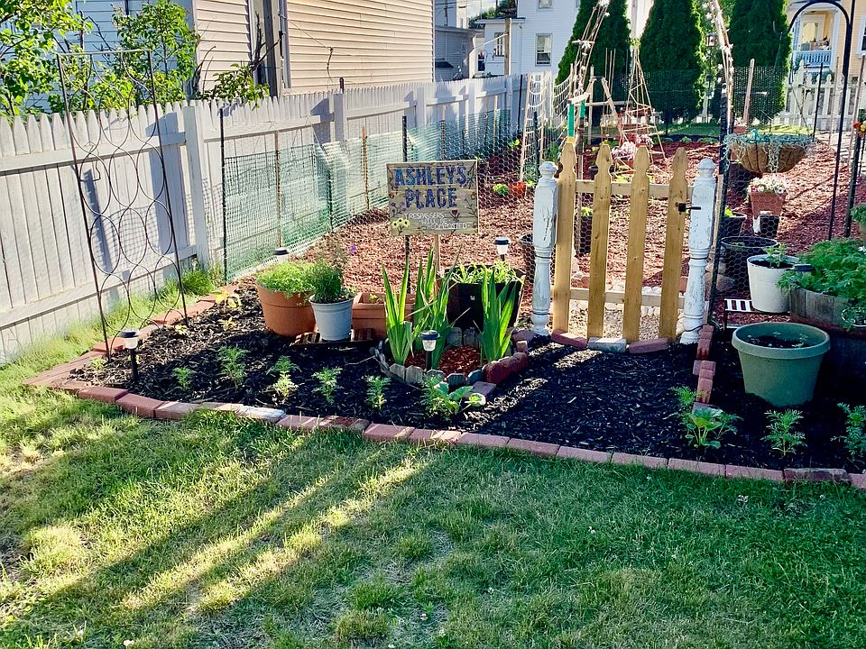 Garden in the summer.