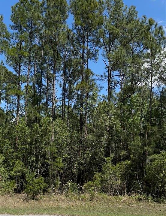 1st image of 510 HIDDEN PALMS DRIVE LOT 5
