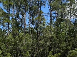 510 Hidden Palms Dr Lot 5, Davenport, FL 33897