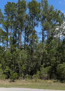 510 Hidden Palms Dr Lot 5, Davenport, FL, 33897