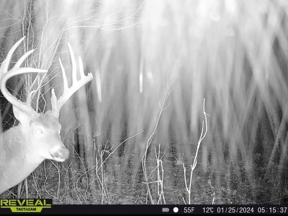 1st image of 0 Big Bend Rd