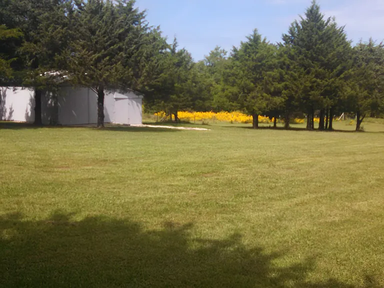 garage/shed