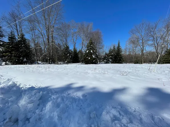 LOT 7&8 Spruce Rd, Lincoln, MI 48742