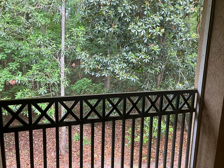 4 Indigo Run Dr #1823 — Photo 27