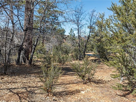 3rd image of 1603 Angels Camp Rd