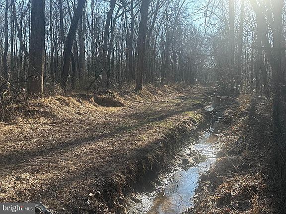 3rd image of Big Woods Rd