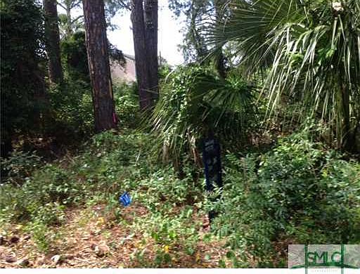 2nd image of 0 Laurel Avenue