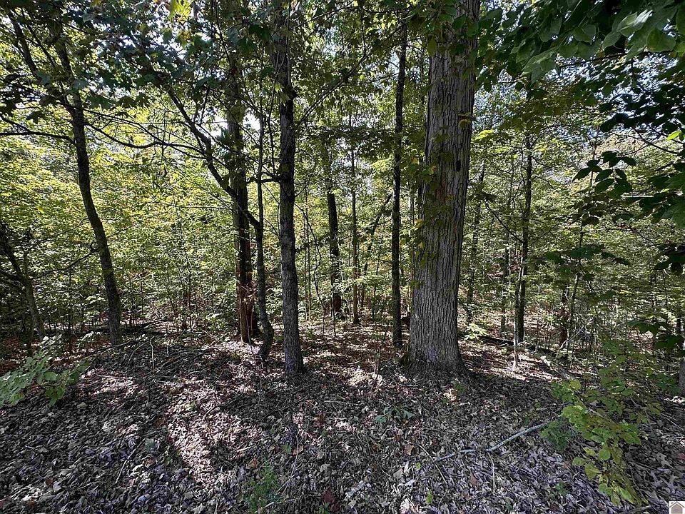 1st image of 0 E Ridge Rd Unit 13