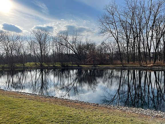 View from the back in fall