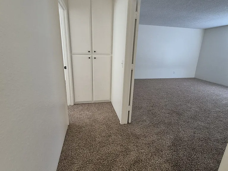 Tiger Ln — Photo 20