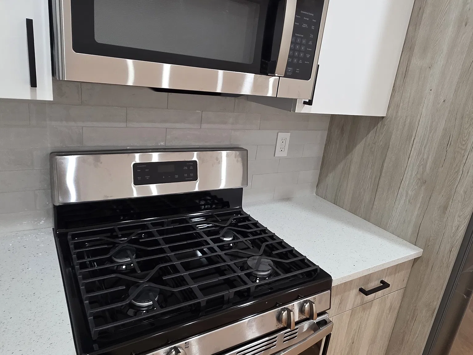 4 bed, 1000 sqft, $3,300 — Photo 3