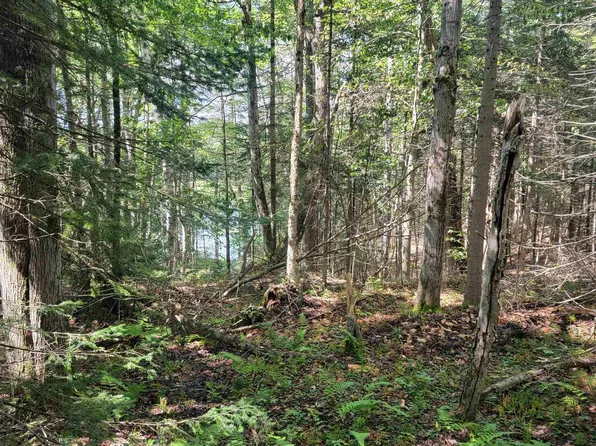 Lot 104 Blue Heron Drive #104, Lempster, NH 03605
