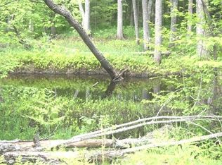 Thornapple Trl, Marion, MI 49665