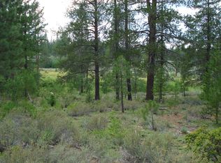 13207 Snowshoe Thompson, Truckee, CA 96161