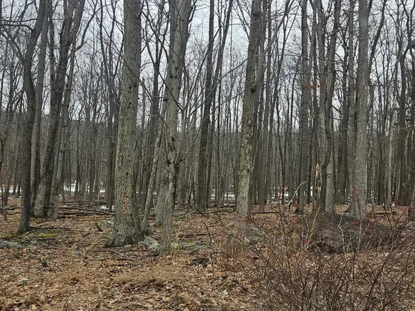 214 Chippewa Dr, Hazleton, PA 18202