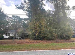 W Main St, Olanta, SC 29114