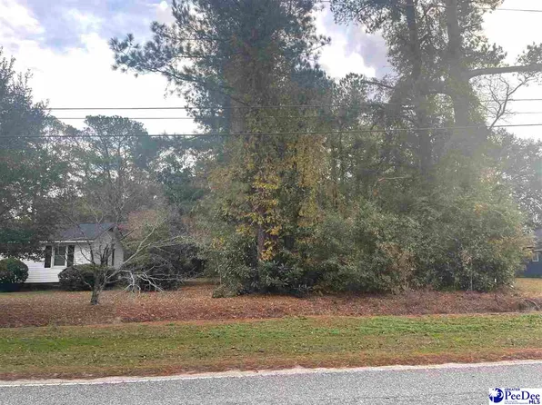 W Main St, Olanta, SC 29114