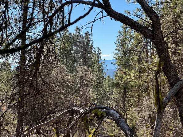 0 Chamois Ln #1, Bonanza, OR 97623