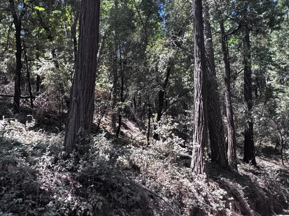 14763 Mitchell Mine Rd, Pine Grove, CA 95665