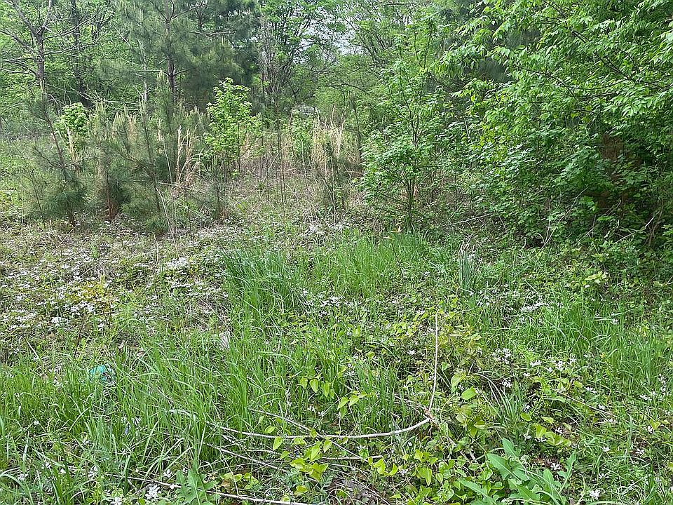 2nd image of 204 S Allen Blvd