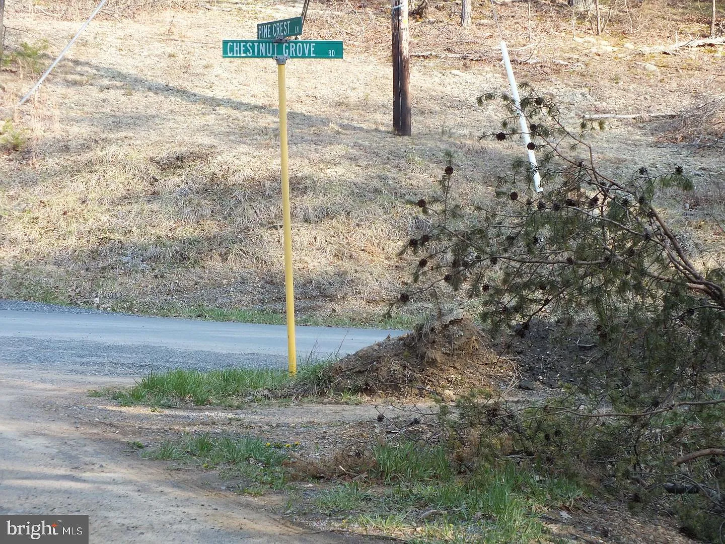 LOT 15 Pine Crest Ln photo 1