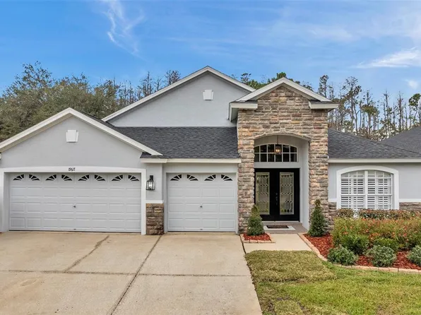 19617 ELLENDALE DRIVE, LAND O LAKES, FL 34638