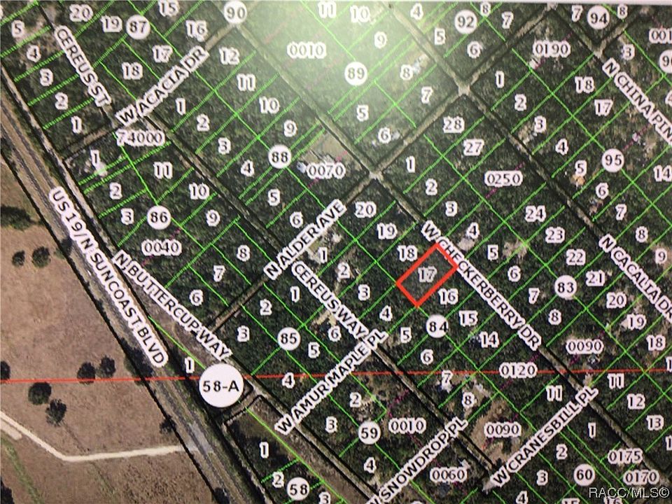 2nd image of 12482 W Checkerberry Dr