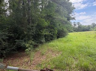 Belgian Rd, Holden, LA 70744