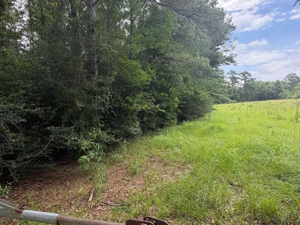 Belgian Rd, Holden, LA 70744