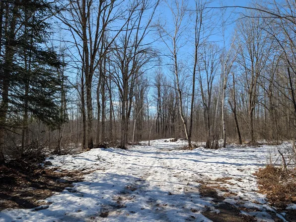 0 Ducommun Rd, Conrath, WI 54731