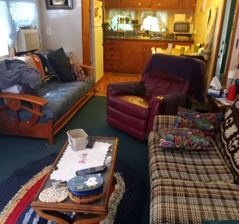 5646 Leidenfrost Adams Rd, Hector, NY 14841 MLS 268087 Zillow