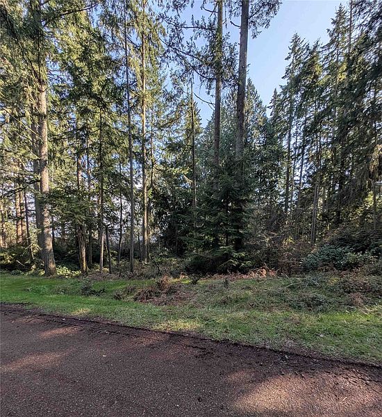 2nd image of 10325 Totem Way
