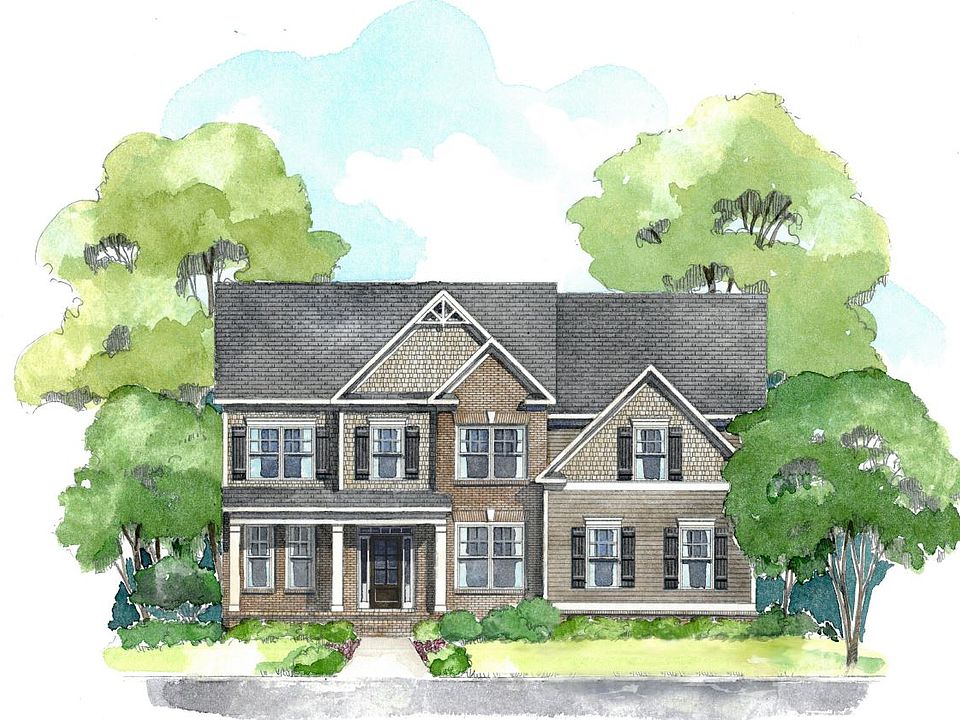 Elevation Image
