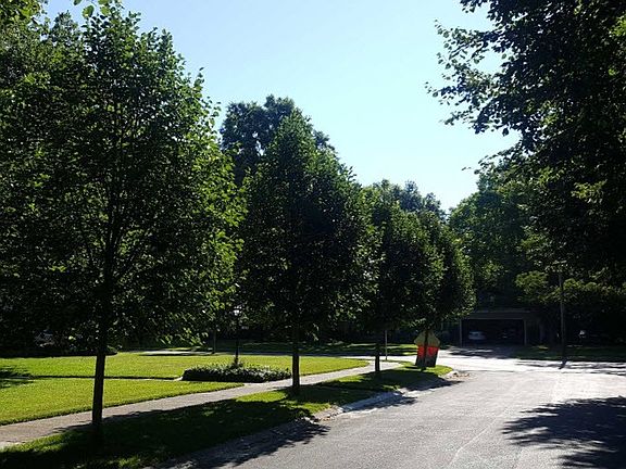 4th image of 31320 Fairwin Dr