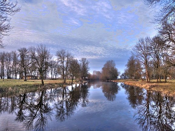 Life is good on Sauvie Island... (back view)