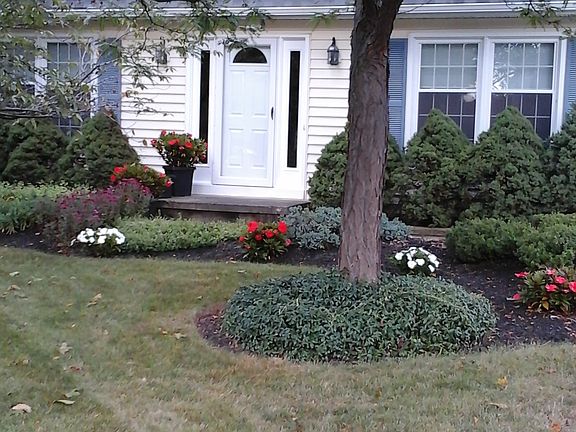 2nd image of 24 Killdeer Ln